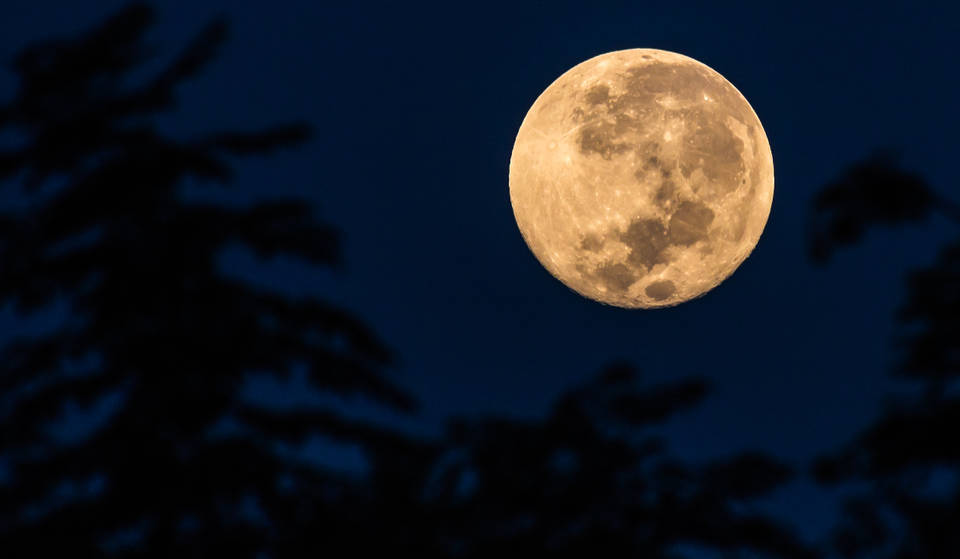 La Superluna más cercana de este año aparecerá grande y brillante en los cielos de Texas esta semana