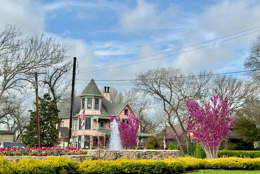 Image shows a Victorian home in the distance among a foreground of blooming flowers and myrtles in Waxahachie, Texas.