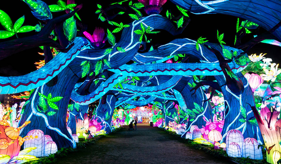 11 de los más fantásticos despliegues de luces navideñas que Dallas tiene para ofrecer estas fiestas