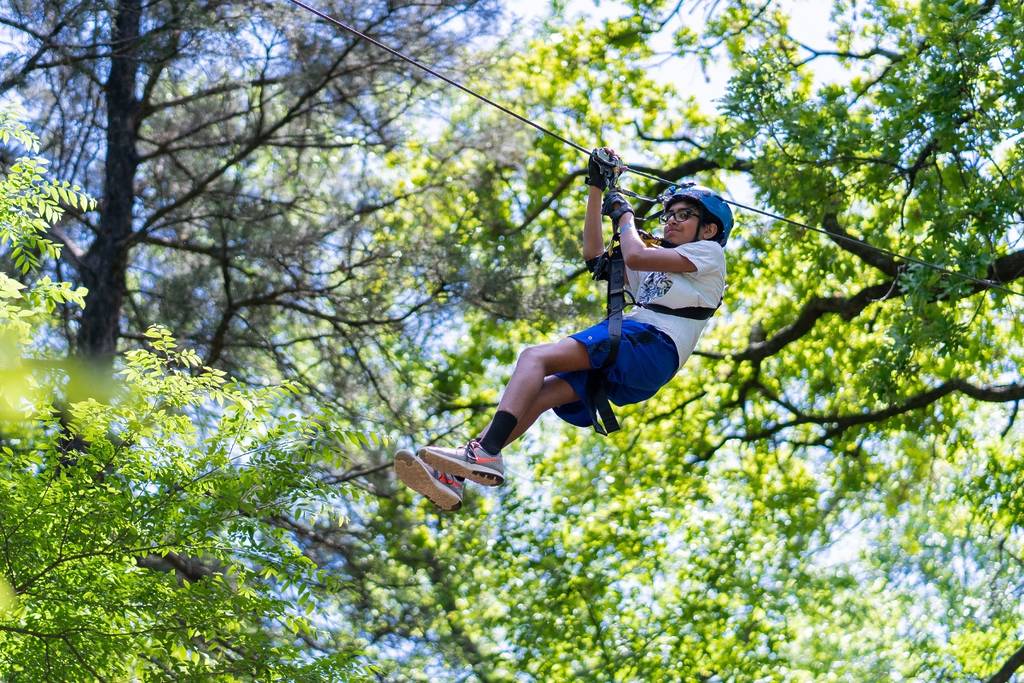 People explore treetops at Trinity Forest Adventure Park