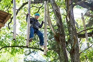People explore treetops at Trinity Forest Adventure Park