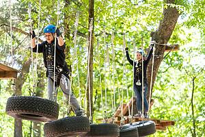 People explore treetops at Trinity Forest Adventure Park