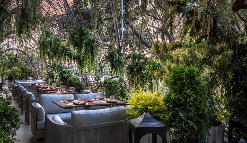 Immersive Mexican Steakhouse Coming To Dallas With ‘Bird’s Nest’ Installation, Speakeasy Lounge & More