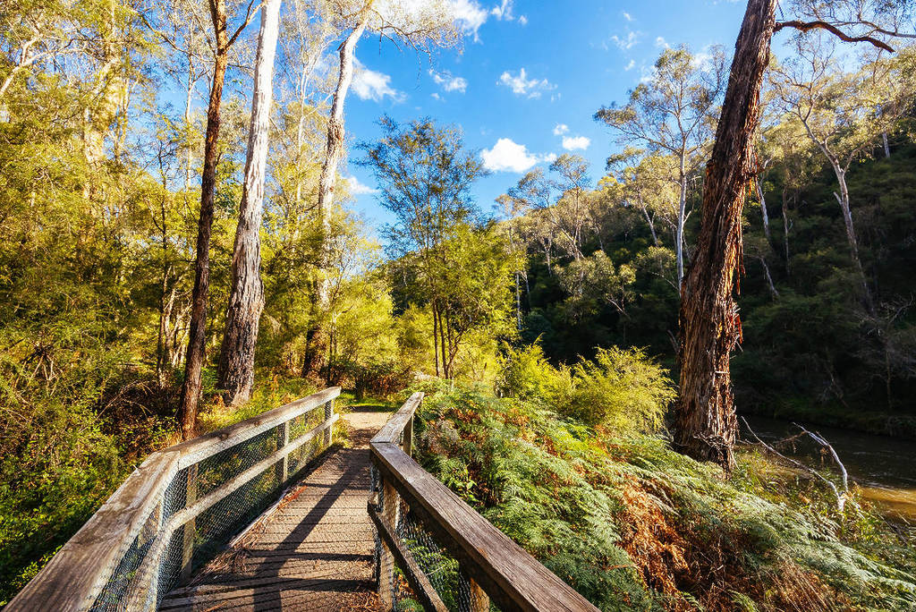Image shows a walking trail in a wooded region.
