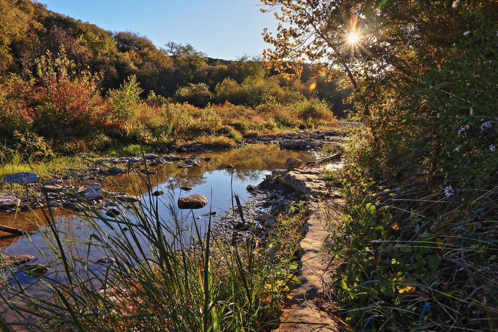 Image shows a photo of a creek through a wooded area in Dinosaur Valley State Park in Texas.