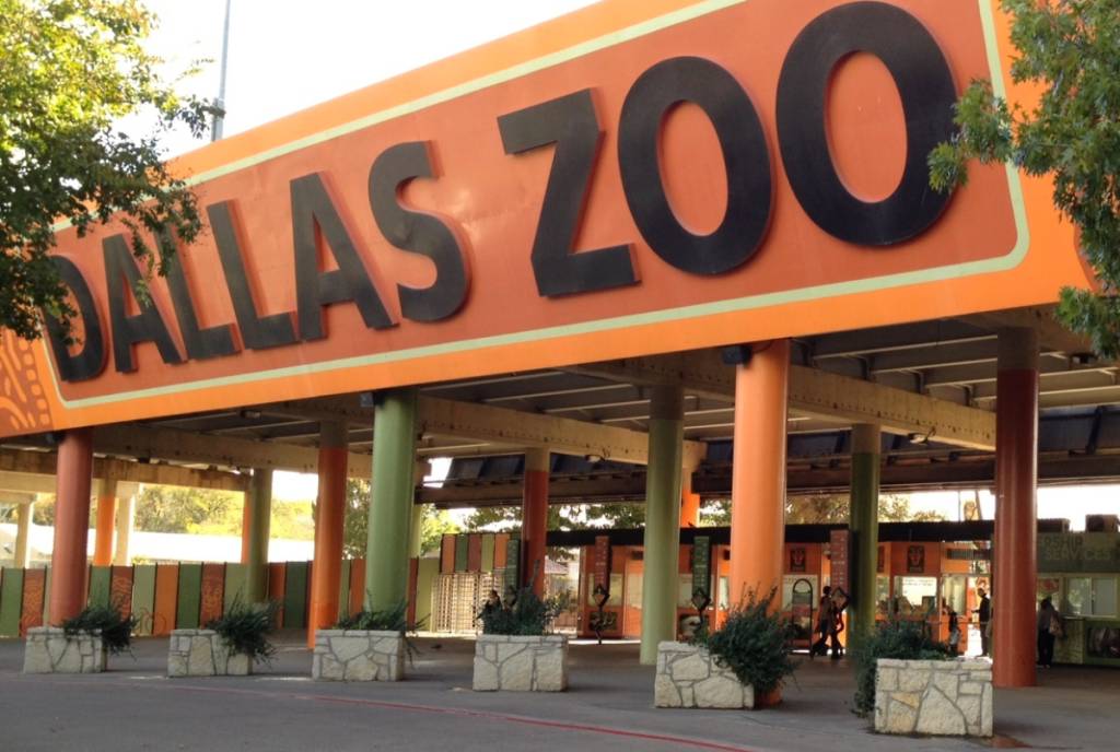 La imagen muestra la entrada principal del zoológico de Dallas.