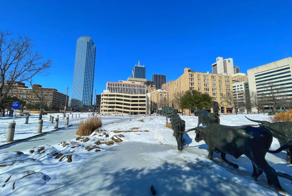 La imagen muestra la escultura de los toros en Dallas con una ligera capa de nieve.