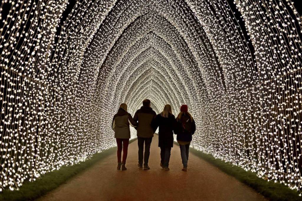 Con más de un millón de luces, este espectáculo de luces en un paraíso invernal vuelve al Jardín Botánico de Fort Worth este noviembre
