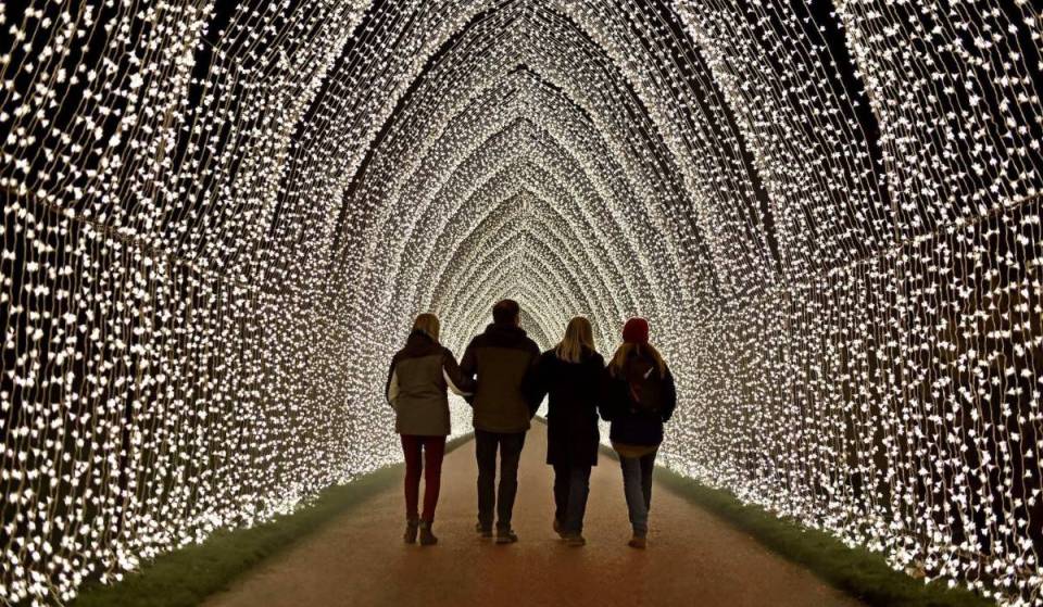 Featuring over 1 million lights, this winter wonderland light show is returning in Fort Worth Botanic Garden this November