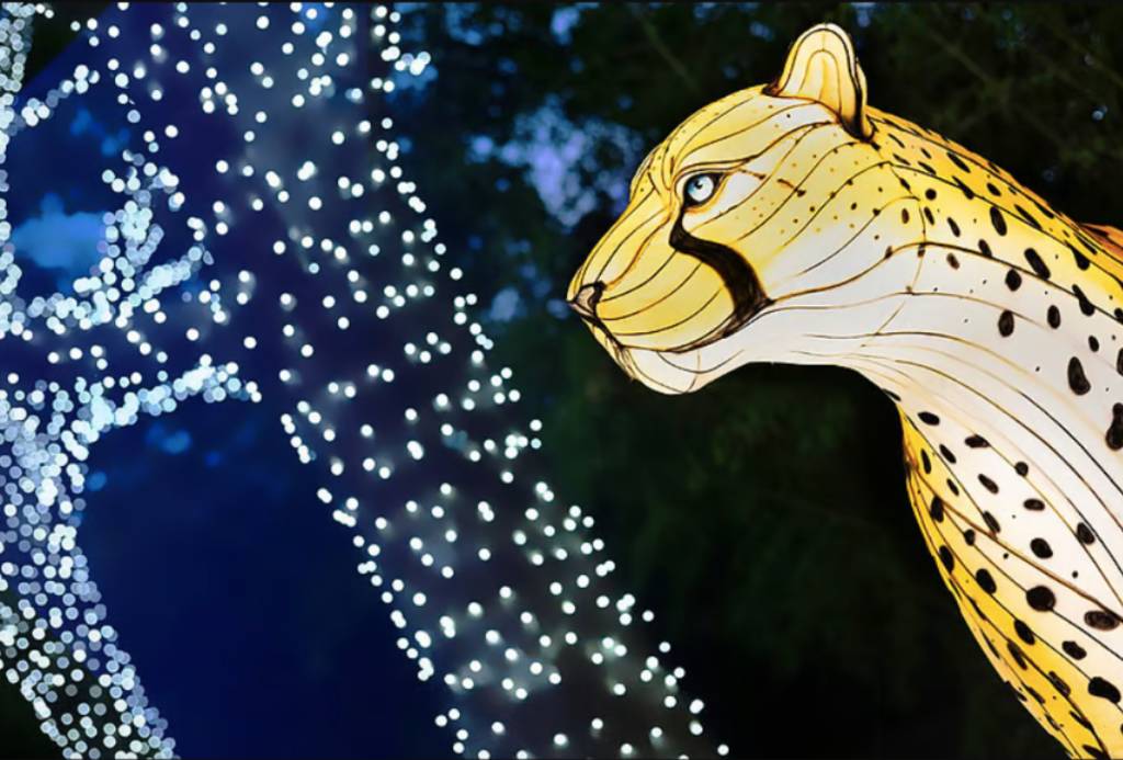 Image shows a light installation at Dallas Zoo Lights.
