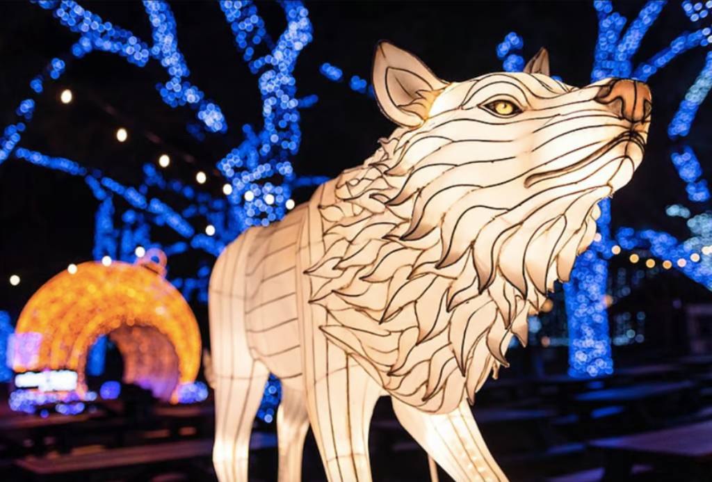 Image shows a light installation at Dallas Zoo Lights.