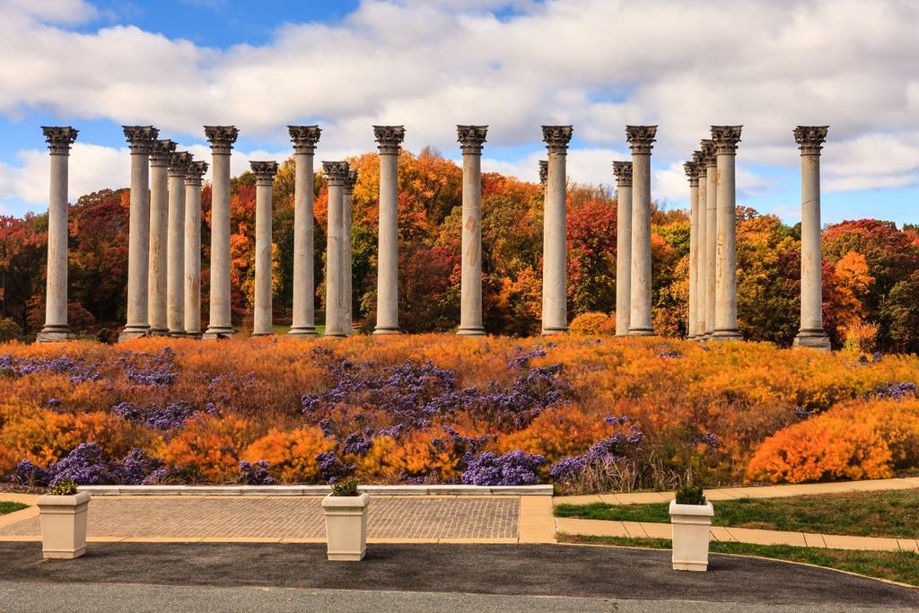 Autumn landscape of the National Capitol Columns in the US National Arboretum in Washington, DC.