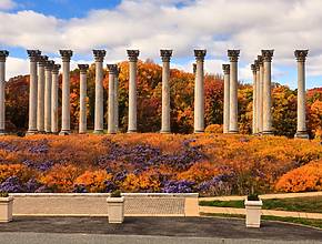 11 Things To Do In D.C. This Weekend That You Don’t Want To Miss (November 14th &#8211; 16th)