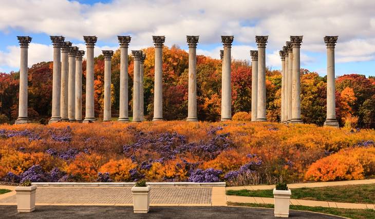 Washington, D.C.’s fall forecast is calling for a cooler autumn — here’s when peak foliage could arrive