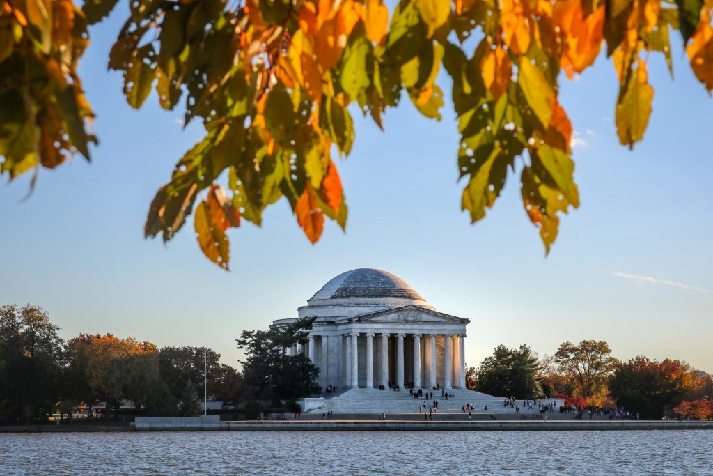 Fall foliage DC
