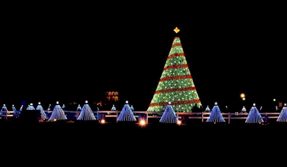 22 Wonderful Things To Do In Washington DC This December