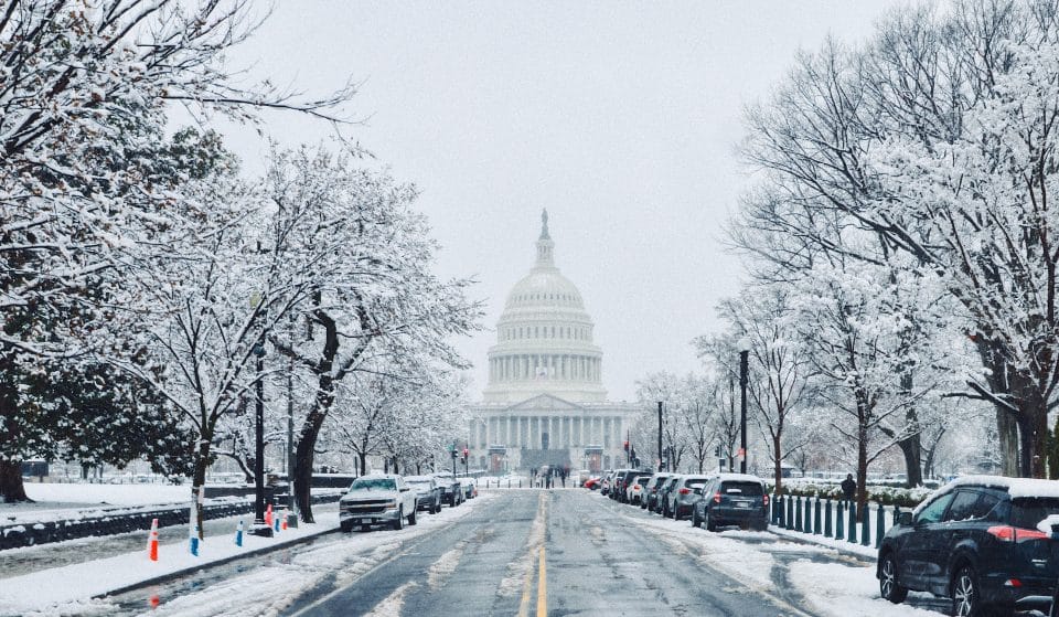 23 Incredible Things To Do In DC This January