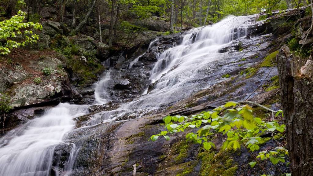 Overall Run Waterfall