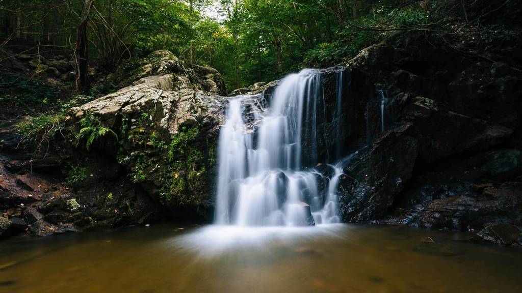 Lower Cascade Falls at Patapsco State Park