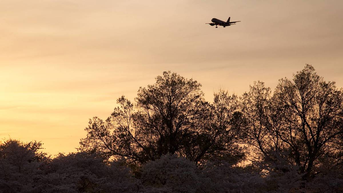 plane coming in for a landing at Reagan National