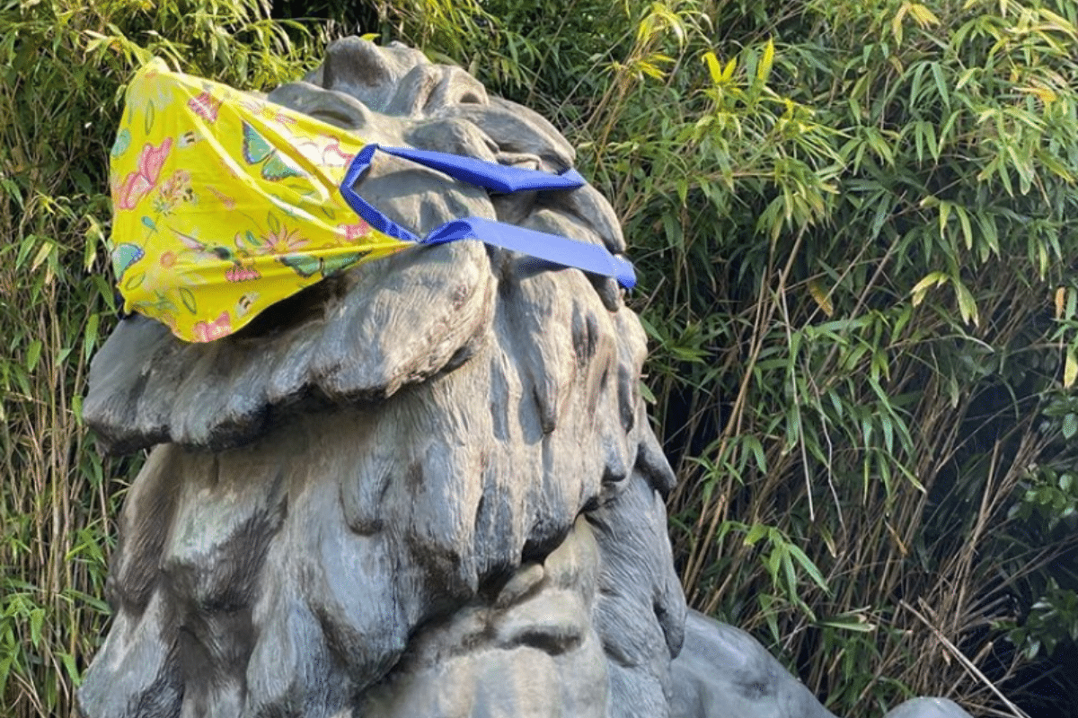 The Smithsonian Now Requires Masks To Be Worn In Museums Secret DC