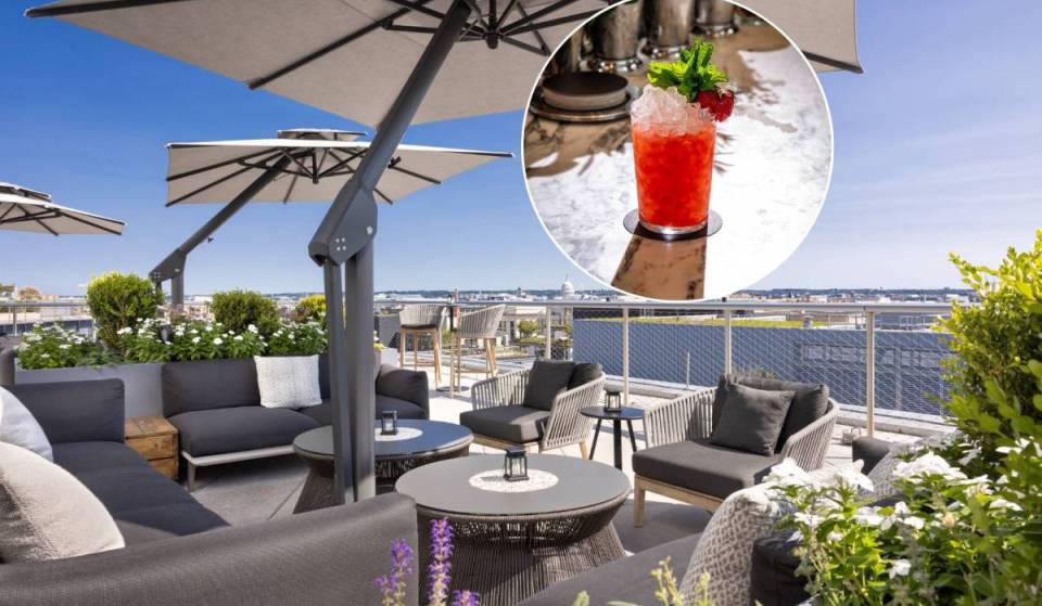 15 best rooftop bars in Washington, D.C. to check out this summer — from wonderful waterfront enclaves to leafy paradises