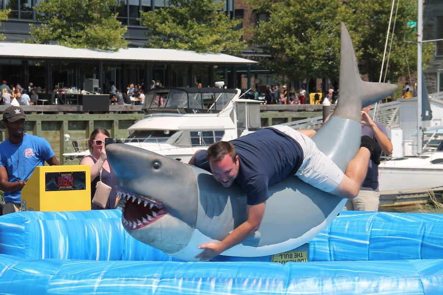 Shark bites and brews event at the wharf