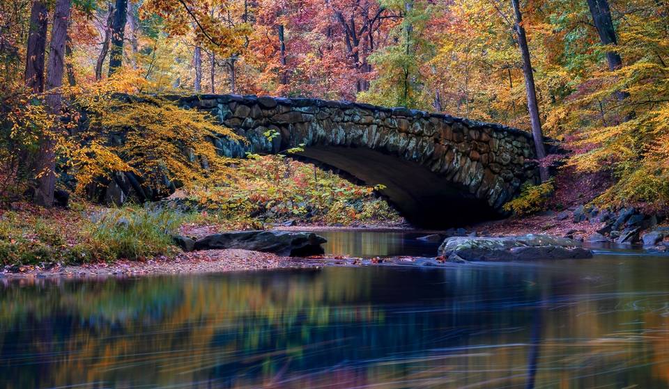 The Oldest National Park On The East Coast Is Just Miles From The White House & Is Celebrating Its 135th Birthday This Weekend With An Event Including A Punk Rock Show