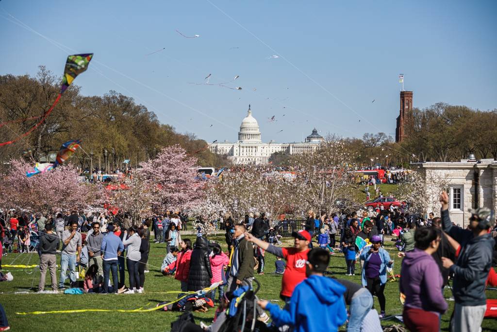 Crowds at National Mall for annual Kite Festival, a National Cherry Blossom Festival event