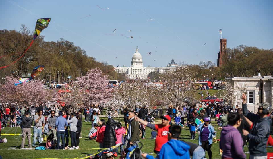 The 2026 National Cherry Blossom Festival Prepares For Its Largest Crowd Ever — Dates, Parade & What’s New