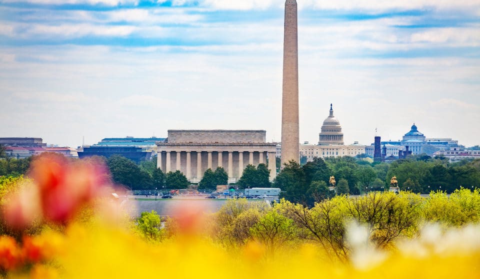 Washington, D.C. Ranked One Of The Sneeziest Cities In America – When Is Pollen Peaking Around The District