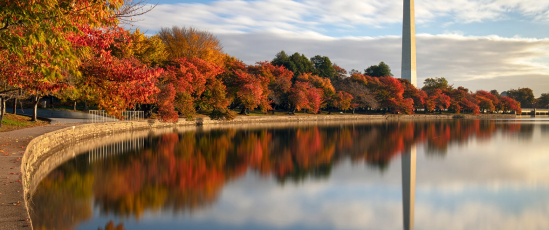 D.C. is transforming for the holidays: See the 25 can’t-miss activities taking place around the DMV this November