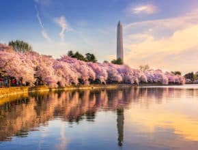 11 Things To Do In D.C. This Weekend That You Don’t Want To Miss (April 17th – April 19th)