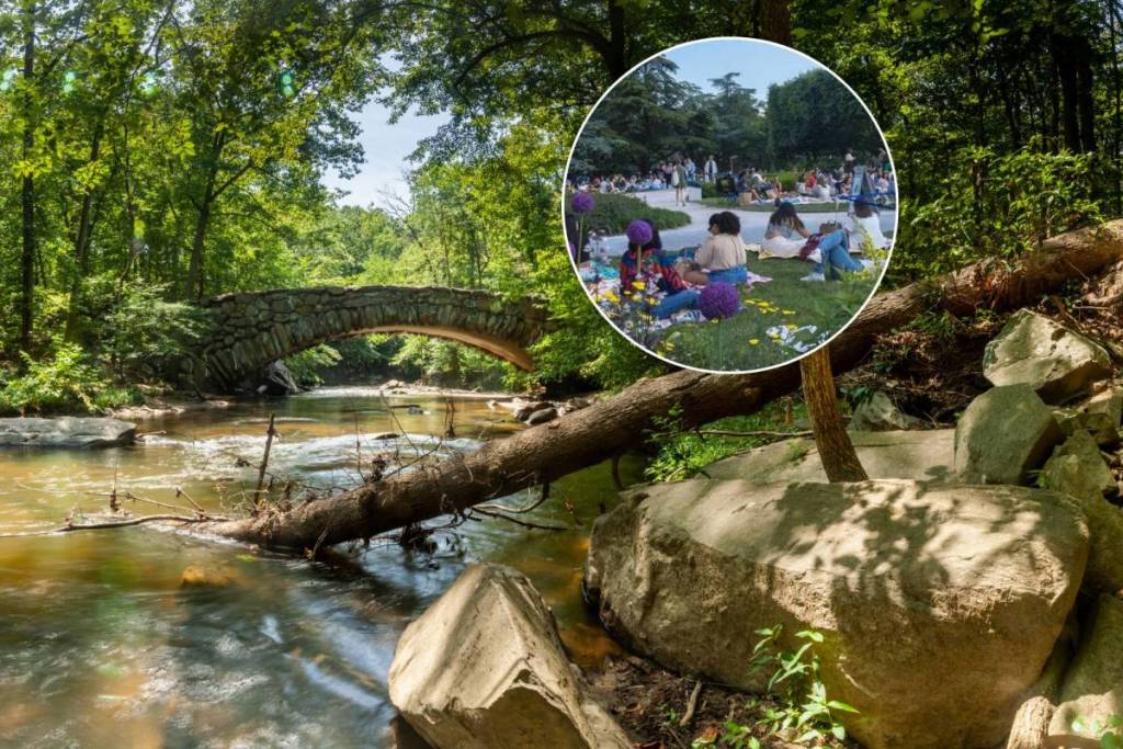 Rock Creek Park / Jazz in the Garden photo collage