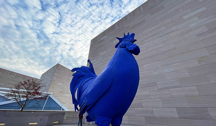 13 Fantastic Free Things To Do In The D.C. Area — From After-Hours Museum Events To Outdoor Adventures