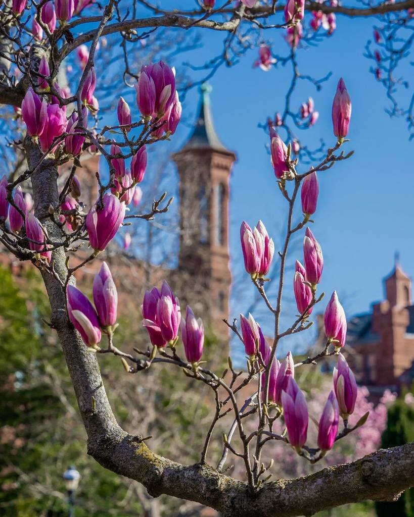 Smithsonian Castle