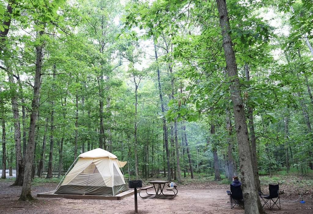 Bluebell Trail at Bull Run