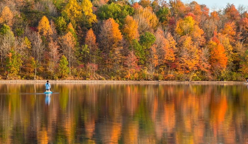 Virginia just launched a new tool to help you plan the perfect fall getaway — Track fall foliage across the state, discover seasonal activities, &amp; more