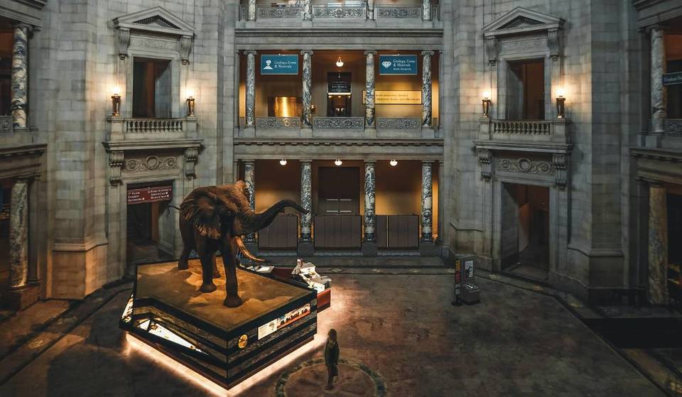 Smithsonian To Unveil Hundreds Of Never-Before-Seen Treasures From All Over The United States As Part Of A Massive Exhibit For The U.S.’s 250th Anniversary