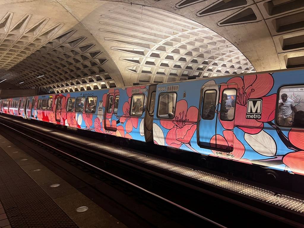 2025 cherry blossom themed train & buses in D.C.
