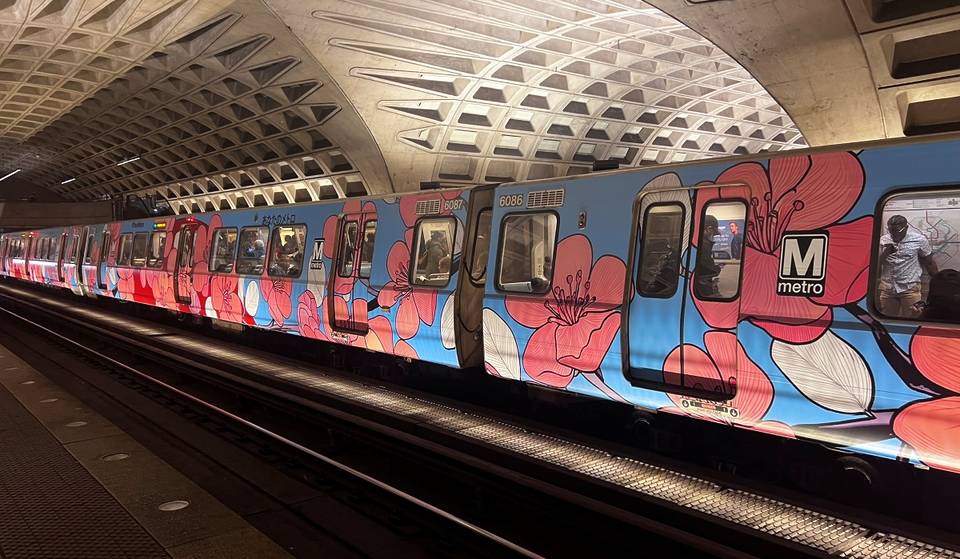 D.C. Metro’s Beloved Cherry Blossom-Themed Train & Buses Are Officially Back