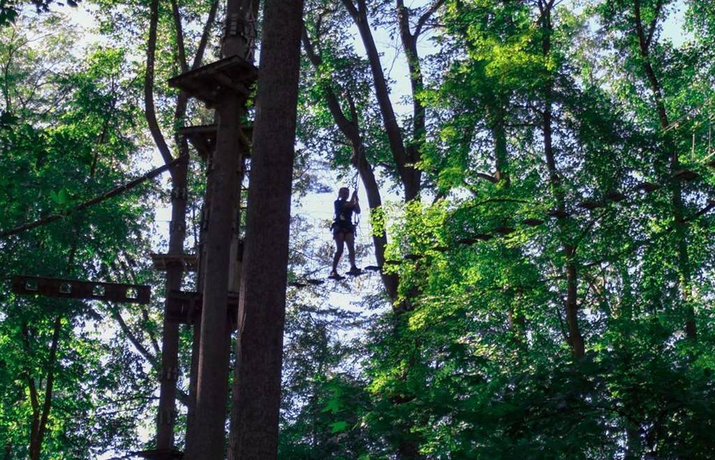 The Largest Tree-Based Adventure Park Was Ranked Second Best In The Nation And Is Only One Hour From D.C.