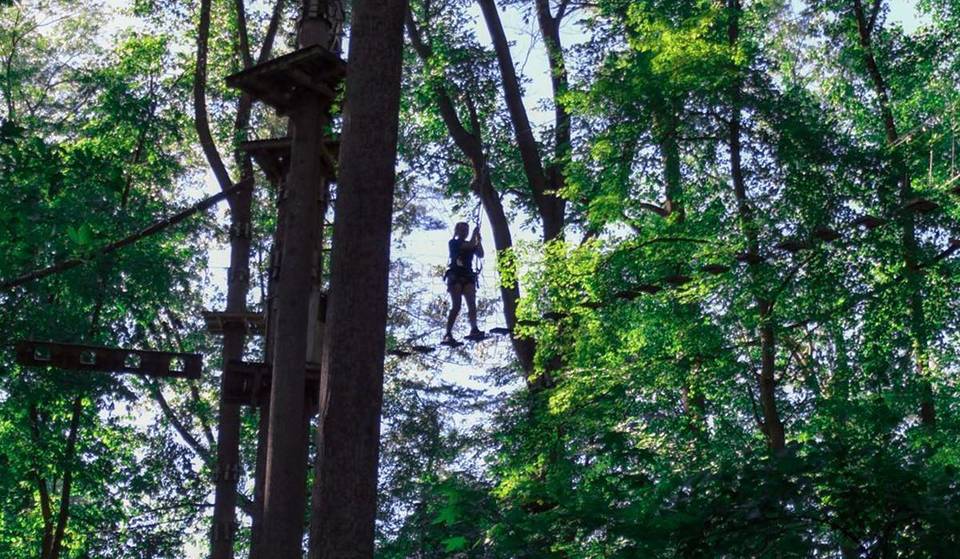 The Largest Tree-Based Adventure Park Was Ranked Second Best In The Nation And Is Only One Hour From D.C.