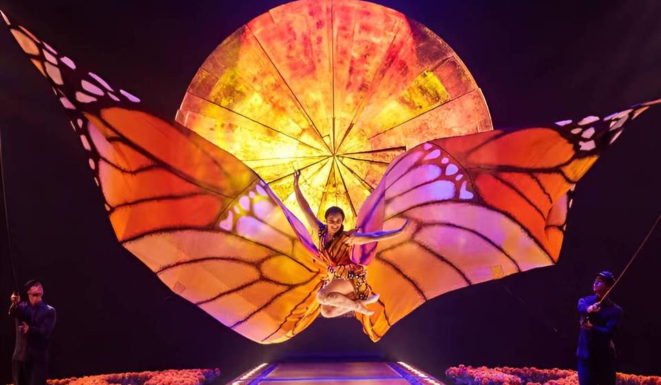 Escape To A Magical Mexico At Cirque Du Soleil’s High-Flying ‘LUZIA’ Performance In The DMV Area