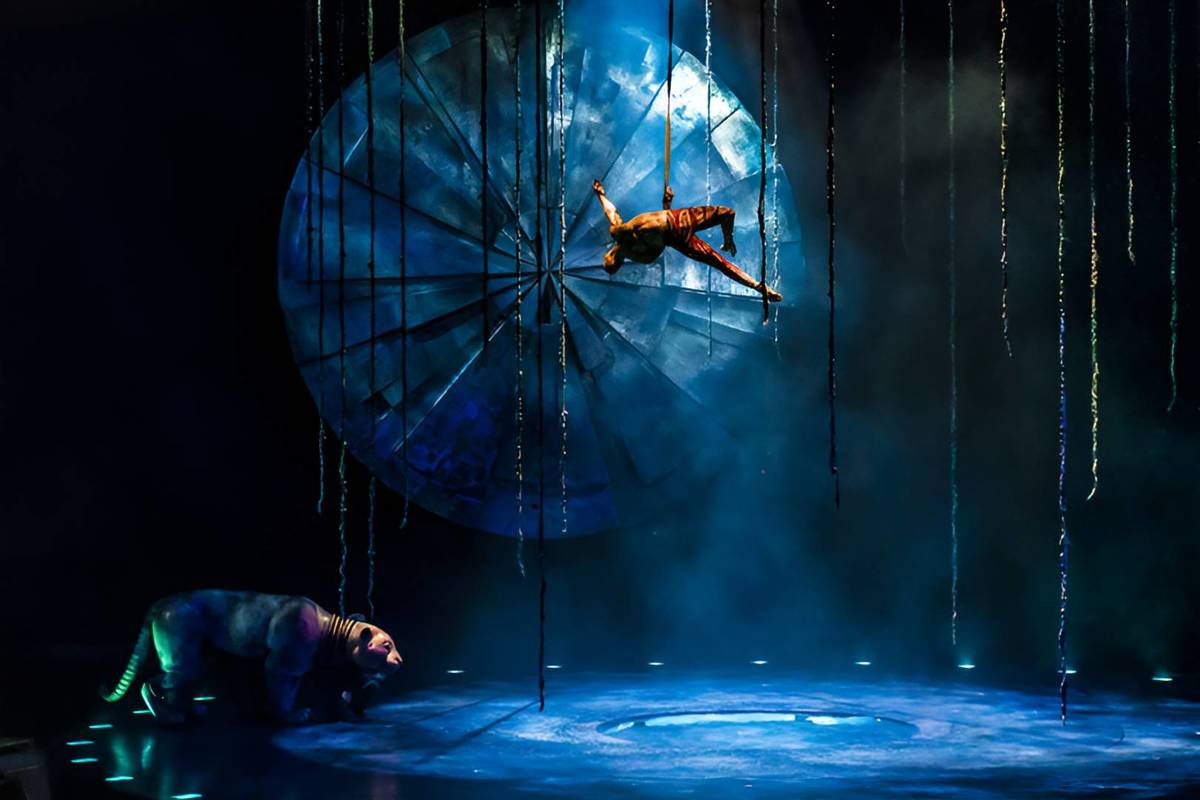 aerial acrobatics at Cirque du Soleil LUZIA