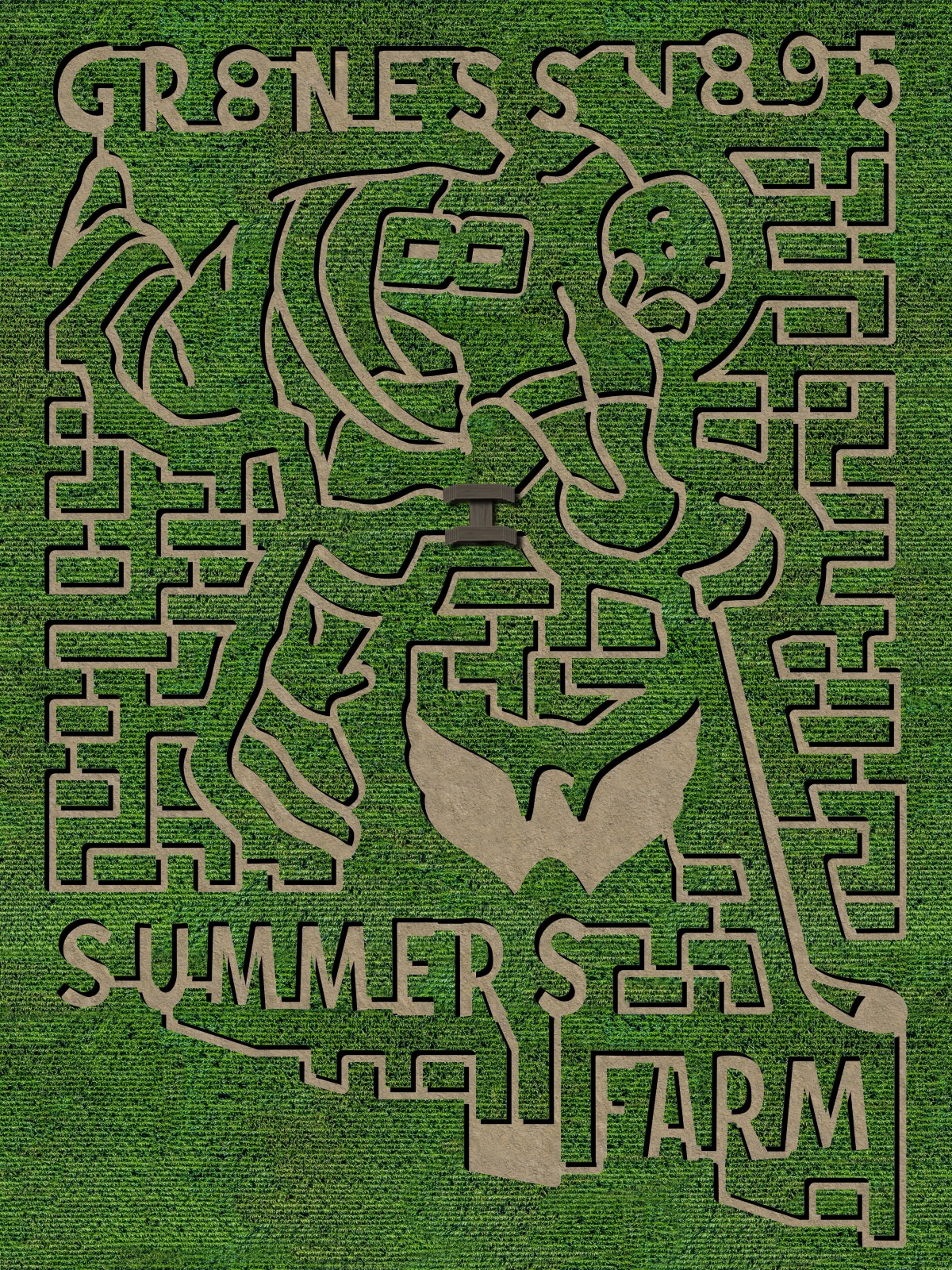 Summers Farm ovechkin corn maze