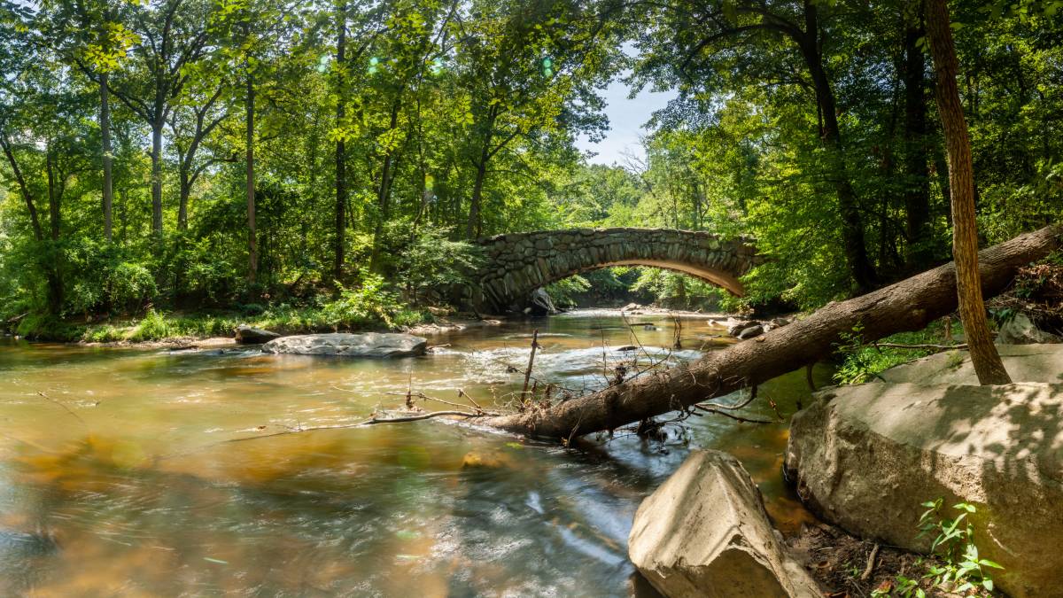 rock creek park