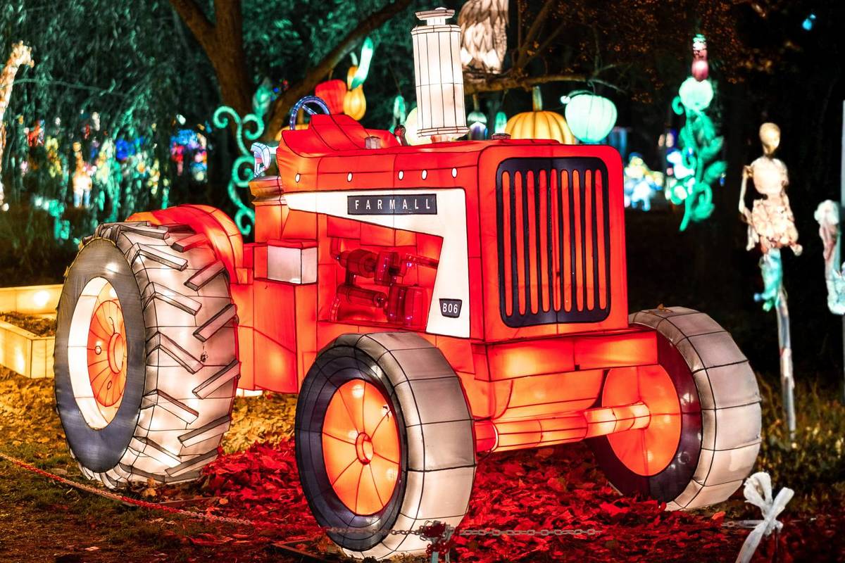 Winter Lantern Festival