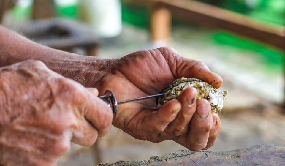 This Small Coastal Town With Around 500 Residents 2.5 Hours From D.C. Hosts One Of The Biggest Oyster Festivals In The Nation – Over 50,000 People Are Expected To Attend
