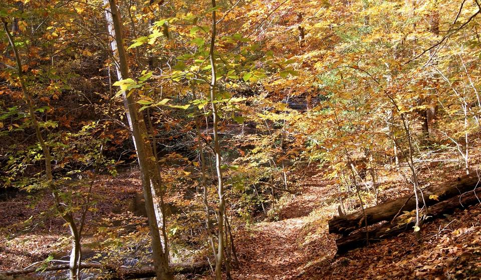 This Secluded Forest Park Just 45 Minutes From D.C. Offers One Of The Best Fall Experiences Around — It Also Used To Be A Top Secret WW2 Spy Training Ground